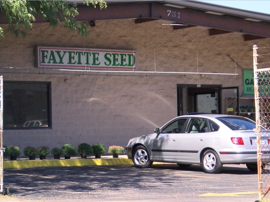 Fayette Seed