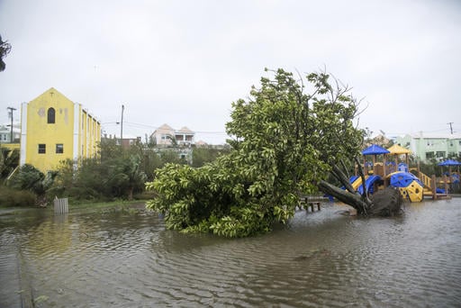 An overturned tree lays on the flooded playground in Mullet Bay