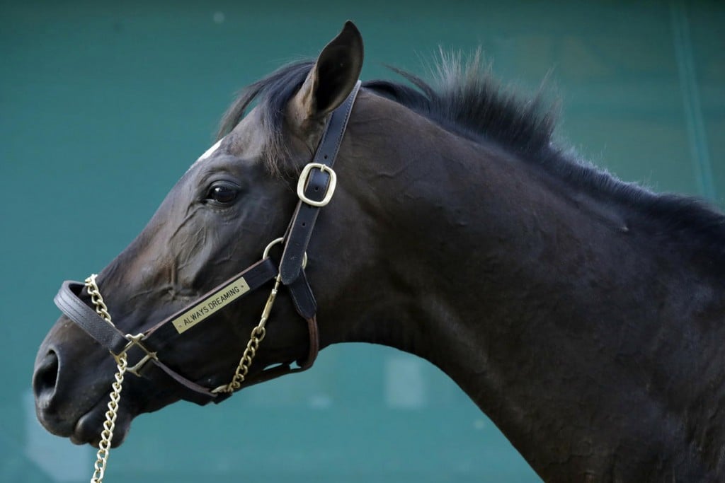 Kentucky Derby winner Always Dreaming stands outside his barn at Pimlico Race Course in Baltimore