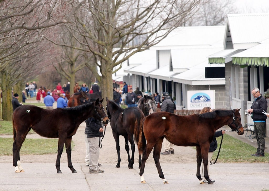 January Horses of All Ages Sale at Keeneland 2016