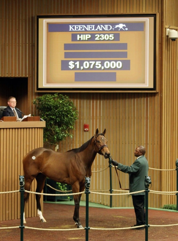 Uptown Twirl sells for more than $1 million to top Keeneland November Breeding Stock Sale 11-14-16