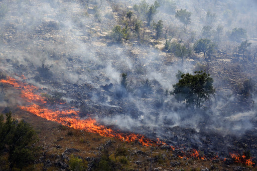 Smoke rises from trees burned by wildfire on a mountain near Montenegro capital Podgorica
