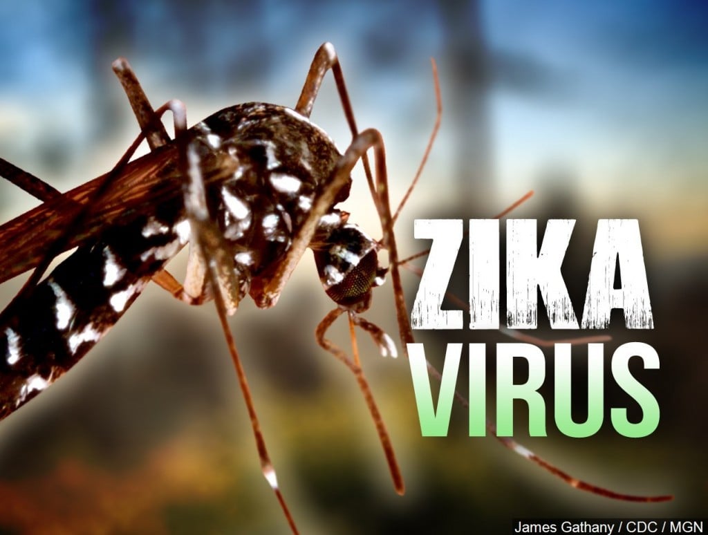 Zika Virus