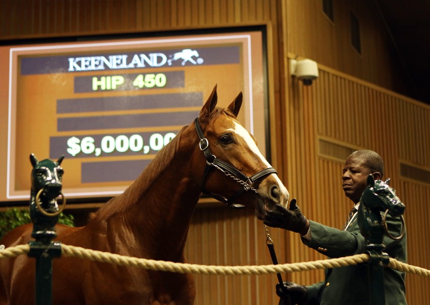 Keeneland sale produces solid results ABC 36 News