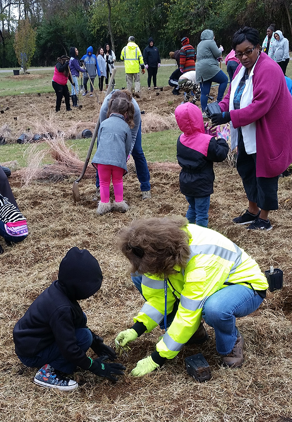 Trees and shrubs are planted as part of the revitalization of Red Mile Trace Trail in Lexington