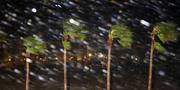 Rain is blown past palm trees as Hurricane Harvey makes landfall