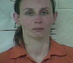Michelle Shawn Gray is accused of stabbing a woman in Knox County.