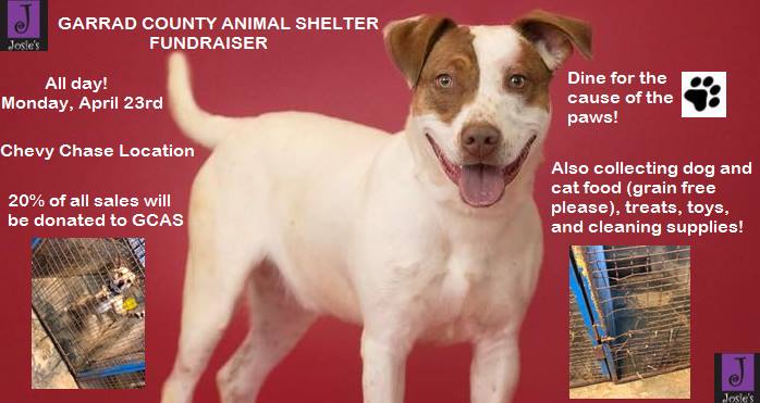 Josie's fundraises for Garrard Co. Animal Shelter