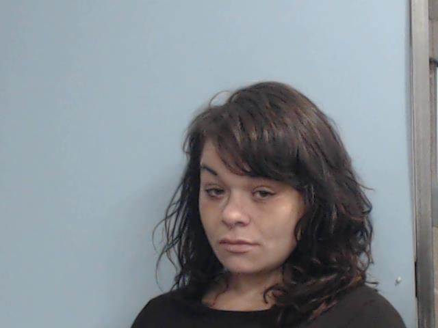 shana lukasavage robbery arrest 4/17