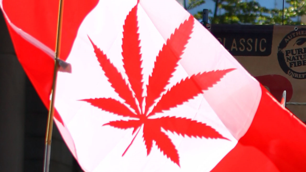 Canadian flag with pot symbol