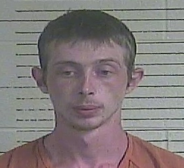 Lee county man accused of killing his brother.