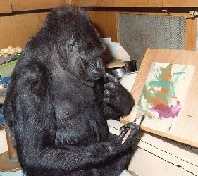 Koko