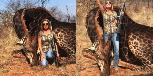Kentucky hunter Tess Talley  says she is receiving death threats after posing with giraffe she killed in Africa.