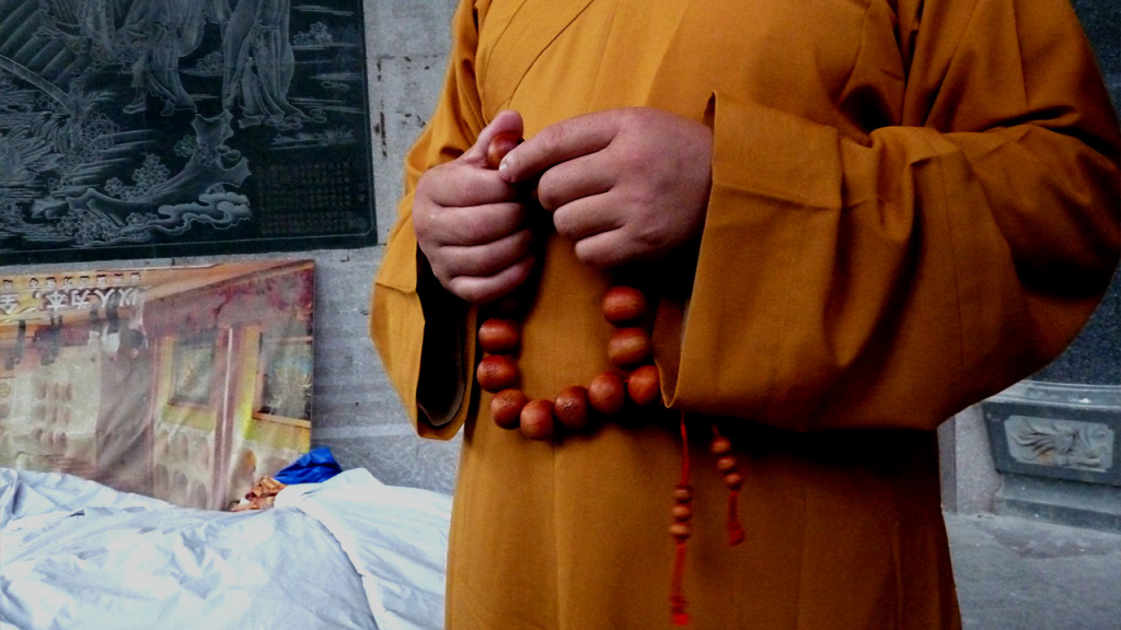 Buddhist Monk or novice