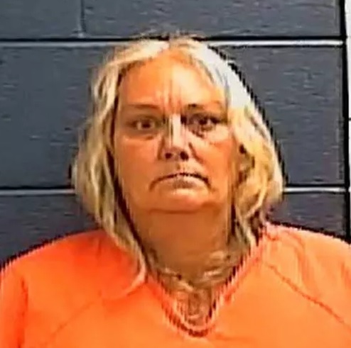 Accused of stealing an ambulance in Rockcastle County  because she was tired of waiting at hospital.