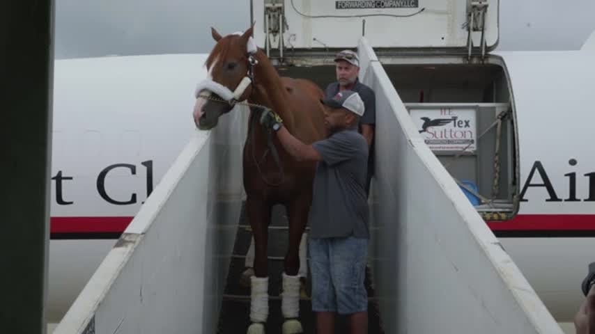 Triple Crown winner Justify arrives at the Blue Grass Airport.