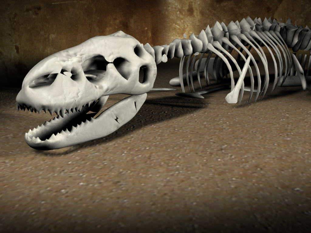 Fossils MGN Online