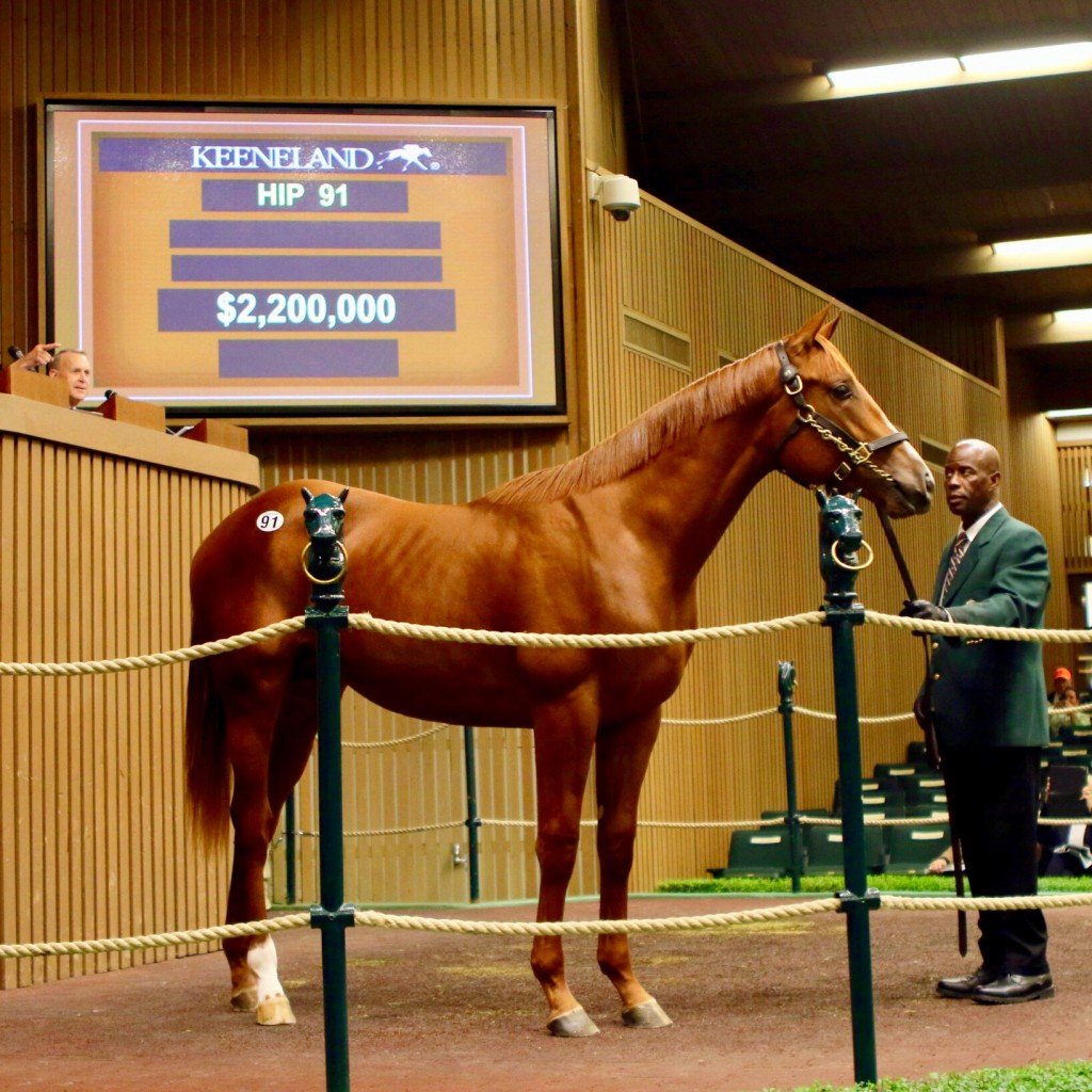 American Pharoah colt brings top price at opening session of 2018 Keeneland September Sale on 9-10-18.  The price paid was $2.2 million