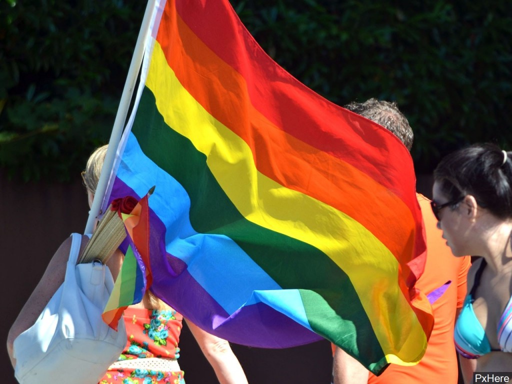 LGBTQ Flag via MGN Online