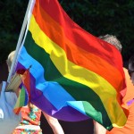 LGBTQ Flag via MGN Online