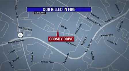 Dog Killed in House Fire