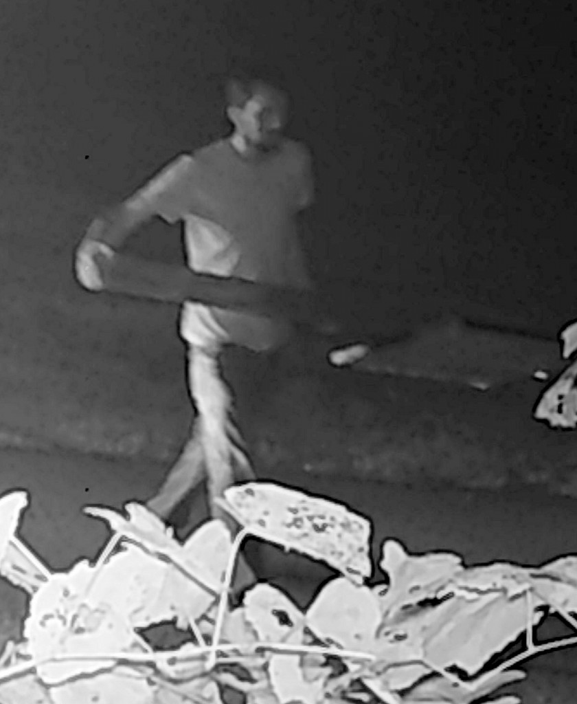Image of man accused of stealing items from Pine Creek Cemetery off Bridge Rock Road in Laurel County