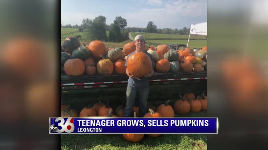 14-year old Paul Holleran has a thriving roadside pumpkin stand on Winchester Road in Lexington as he takes over his family's business 10-24-18