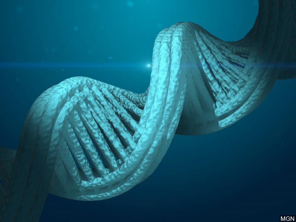 DNA Evidence MGN Online