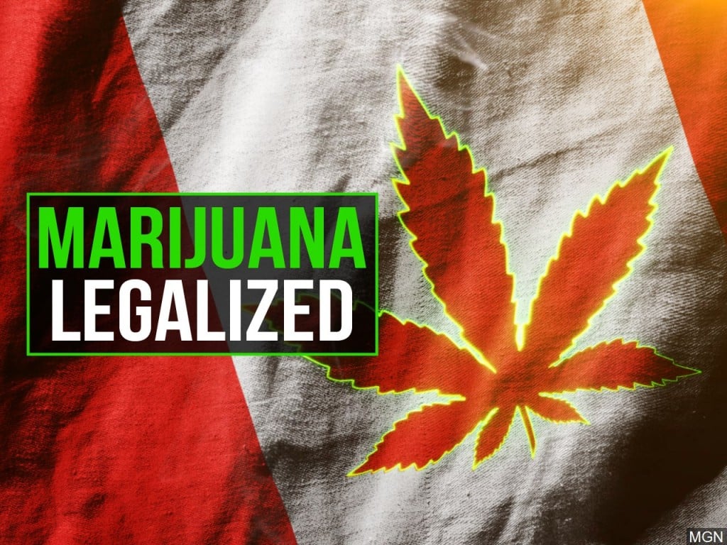 Marijuana Legalized MGN Online
