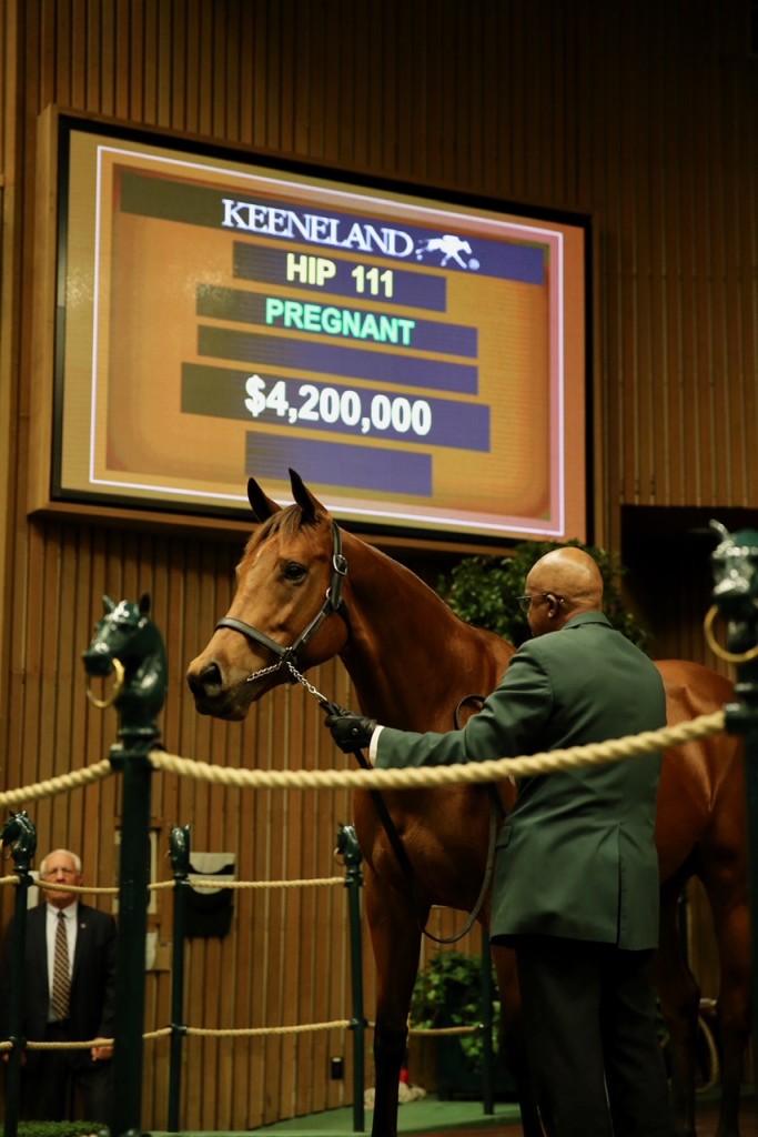 'Lady Eli' in foal to 'War Front' sells for $4.2 million to top the opening day of Keeneland's November Breeding Stock Sale 11-5-18
