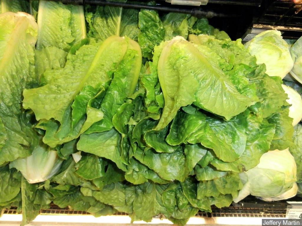 Stack of romaine lettuce heads