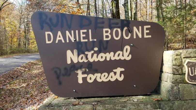 Daniel Boone National Forest