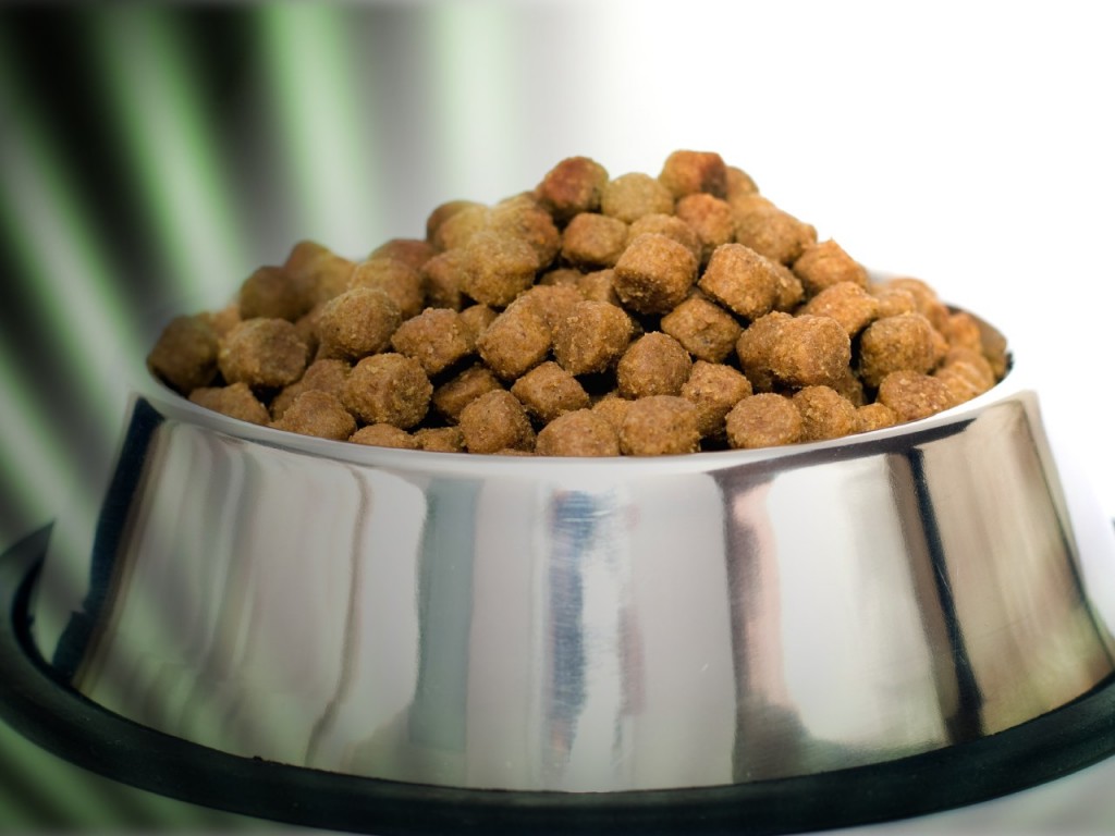 Dog Food