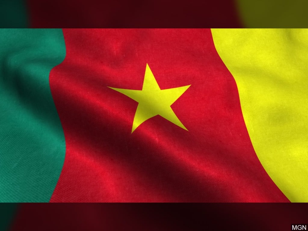 Cameroon Flag