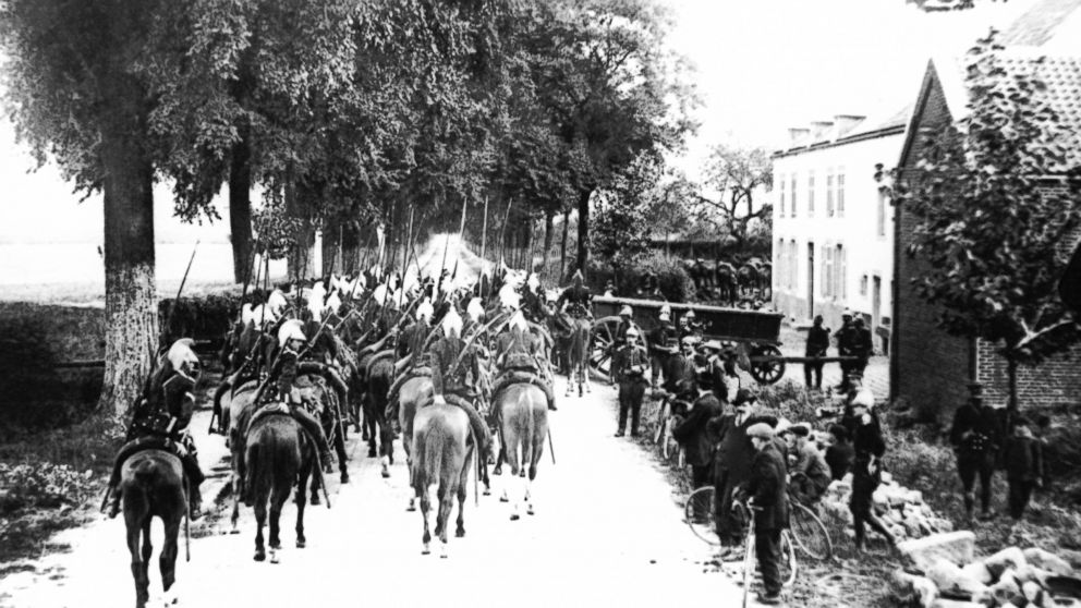 Unsung Heroes, Animals Played Vital And Varied Roles In WWI - ABC 36 News