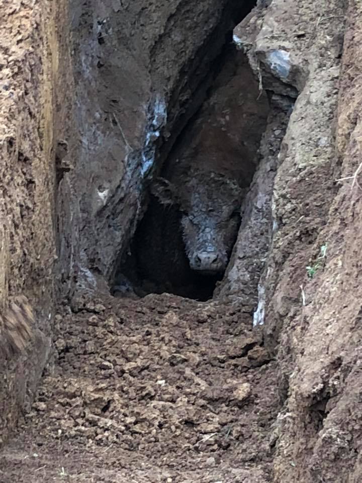 COURTESY: FB/Lincoln Co. Fire Station Three
