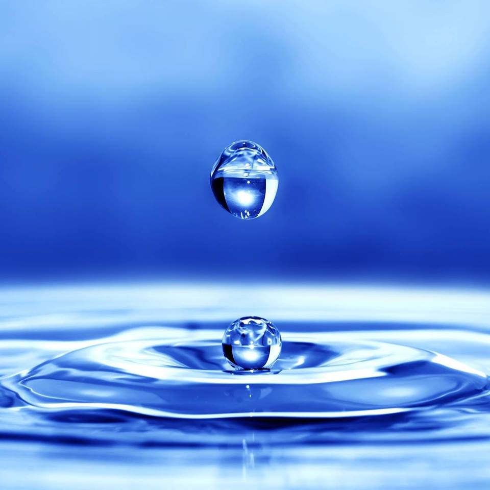 12 water utilities to submit information on how water loss is recorded.