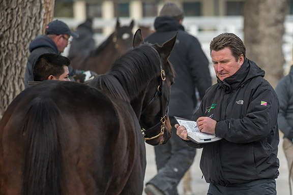 Keeneland January Horses of All Ages Sale 2018