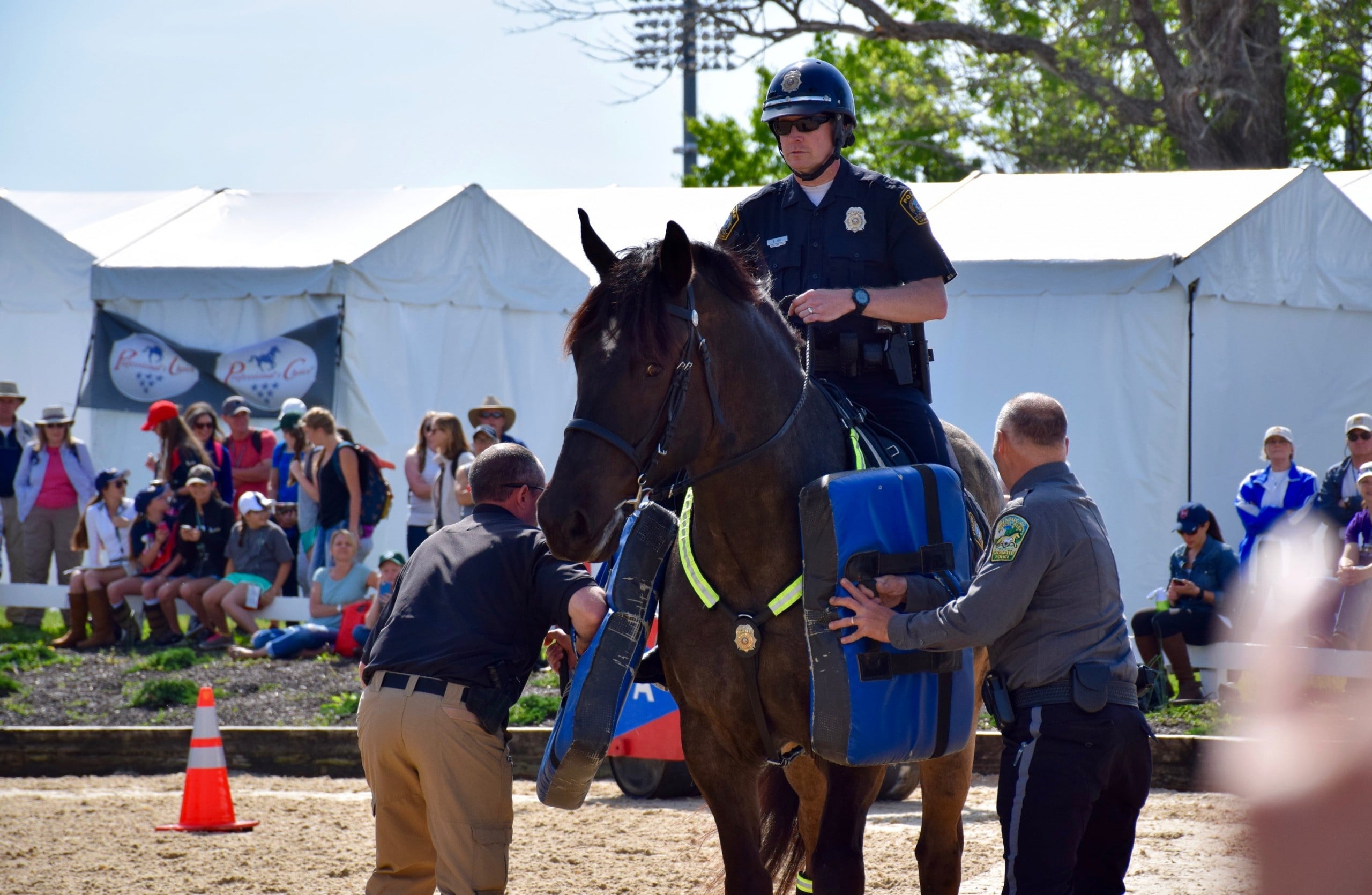 Lexington Police horse dies after brief illness - WTVQ