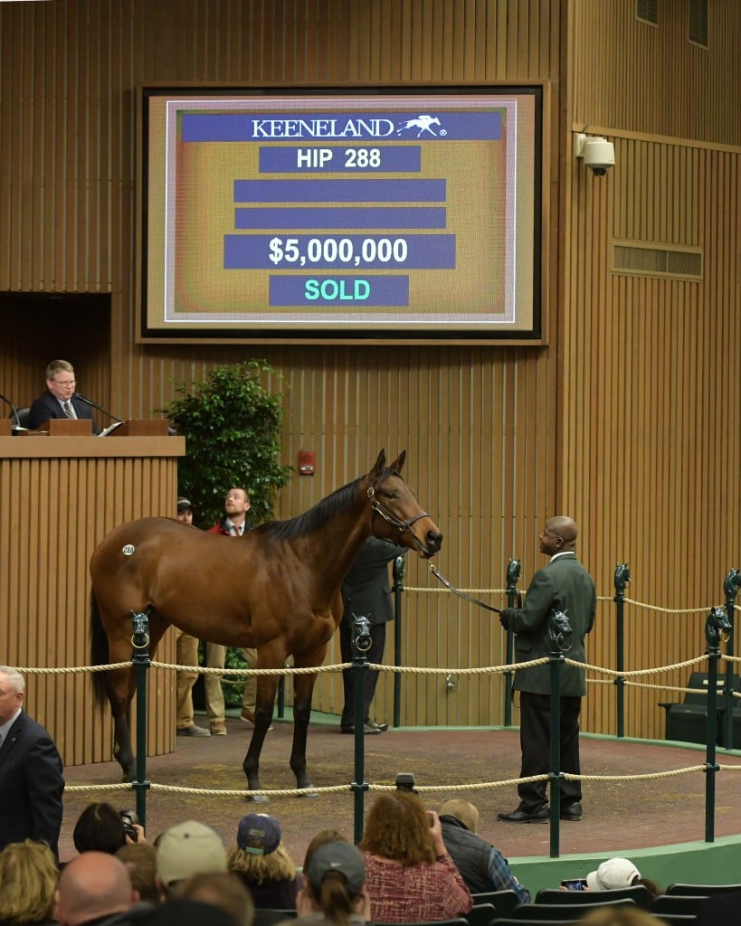 Abel Tasman sells for a record $5 million at Keeneland's January Horses of All Ages Sale 1-7-19