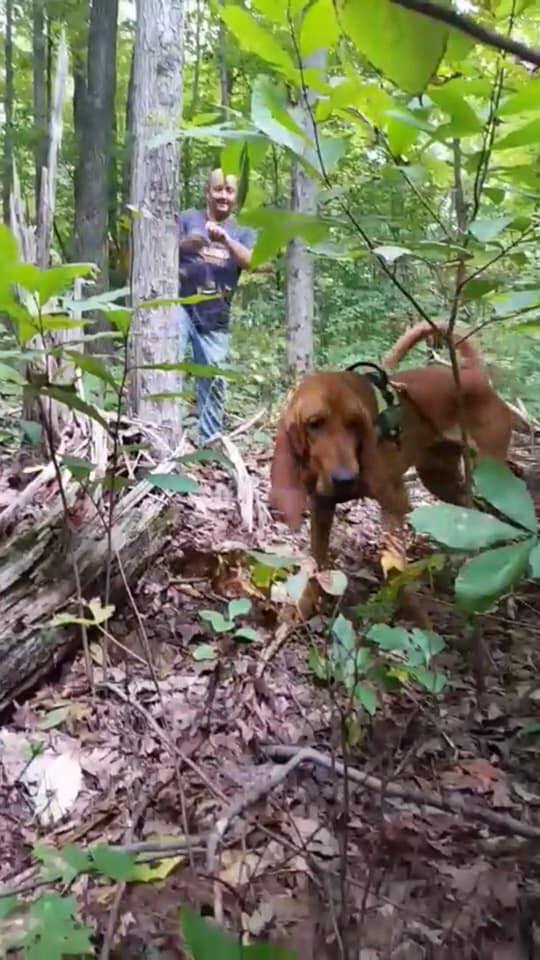 Bloodhound missing