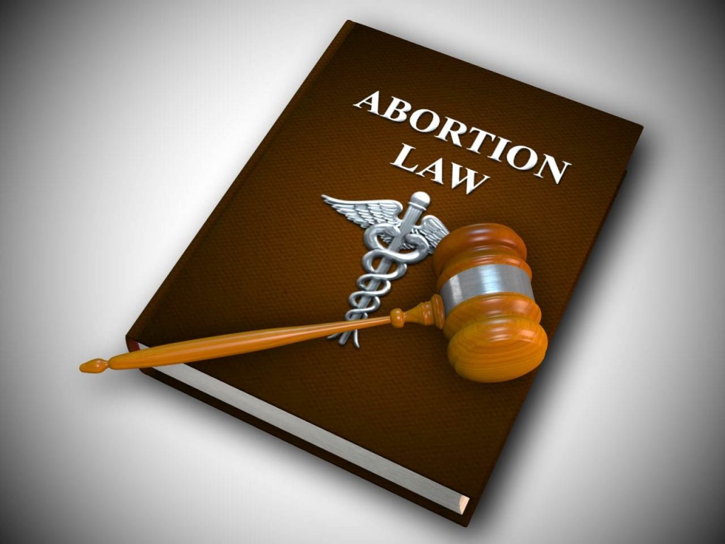 Gavel and Abortion Law book