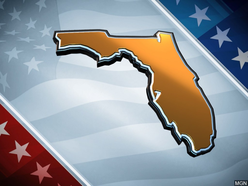 Florida Election Image