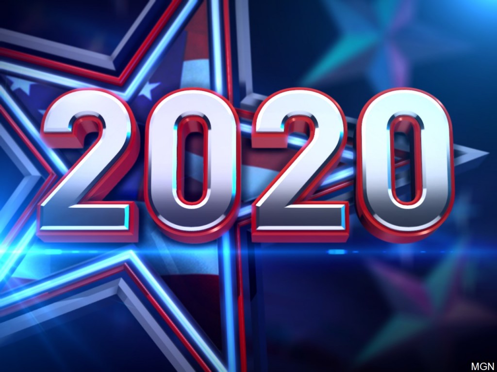 2020 Elections