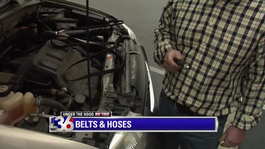 S&S Tire: Belts and Hoses