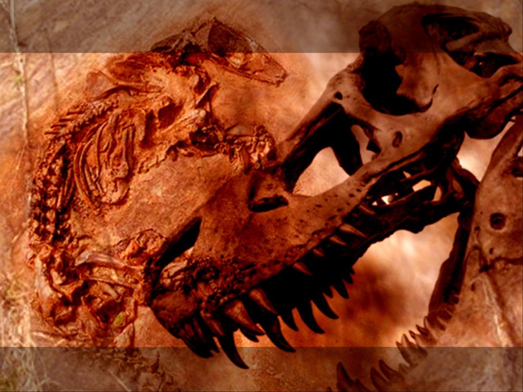 Prehistoric fossils background via MGN Online