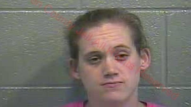 Heather Gillock arrested in animal cruelty and neglect case in Barren County