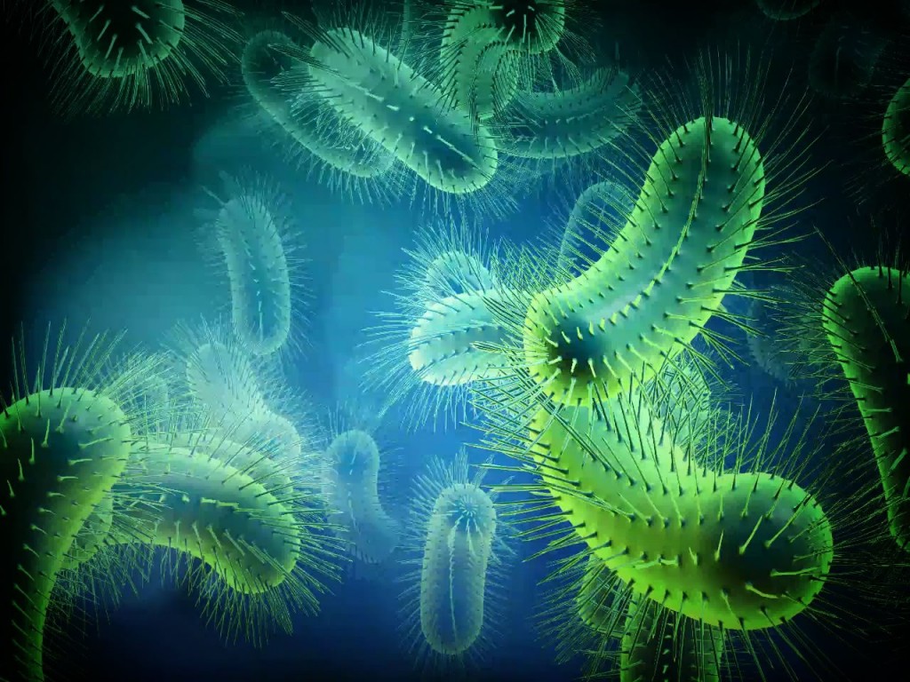 Bacteria background