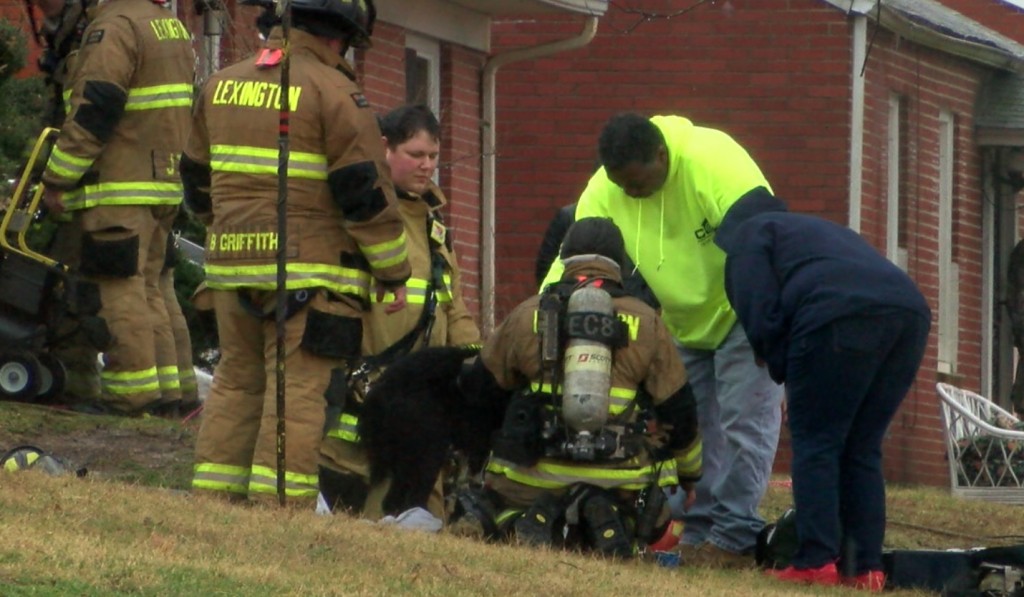 Dog resuscitated after being pulled from a house fire on Judy Lane.