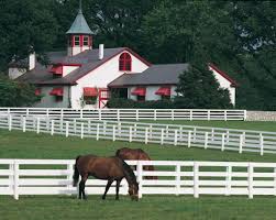 Calumet Farm in Lexington